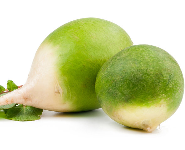 Редька зеленая