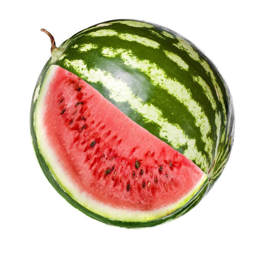 АРБУЗ  БЕРБЕТТА РОССИЯ