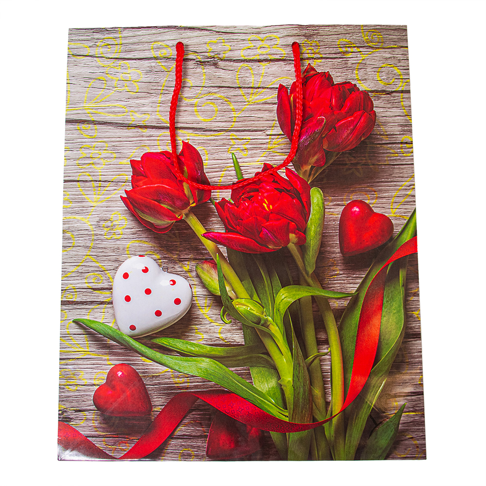 Пакет бумажный подарочный   26,4*13,6*32,7 МИКС L