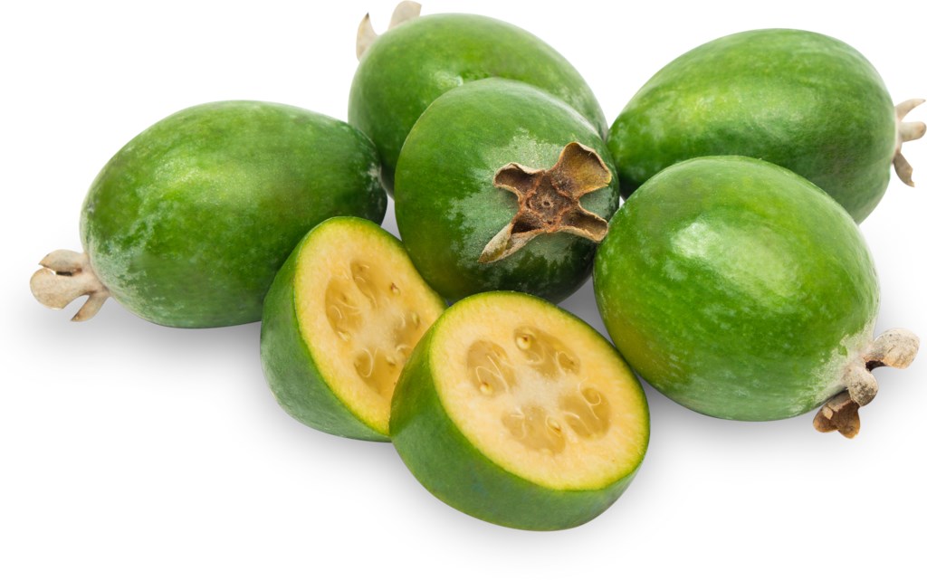 ФЕЙХОА /ВЕС