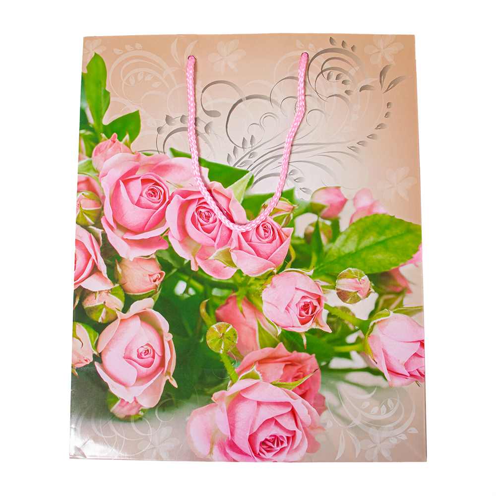 Пакет бумажный подарочный   26,4*13,6*32,7 МИКС L