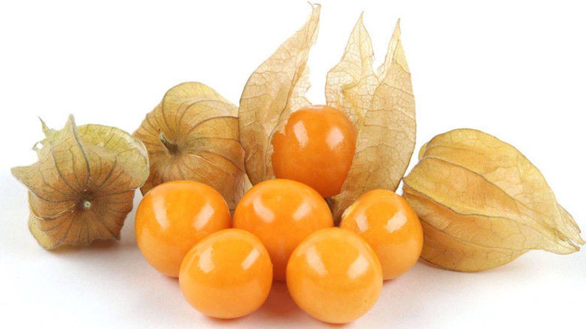 ФИЗАЛИС 100Г/ШТ