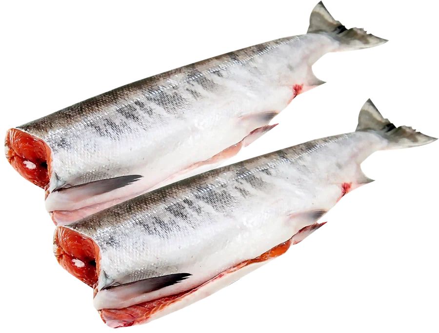 РЫБА КЕТА ПБГ С/М