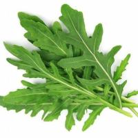 САЛАТ РУККОЛА 1ШТ /100ГР