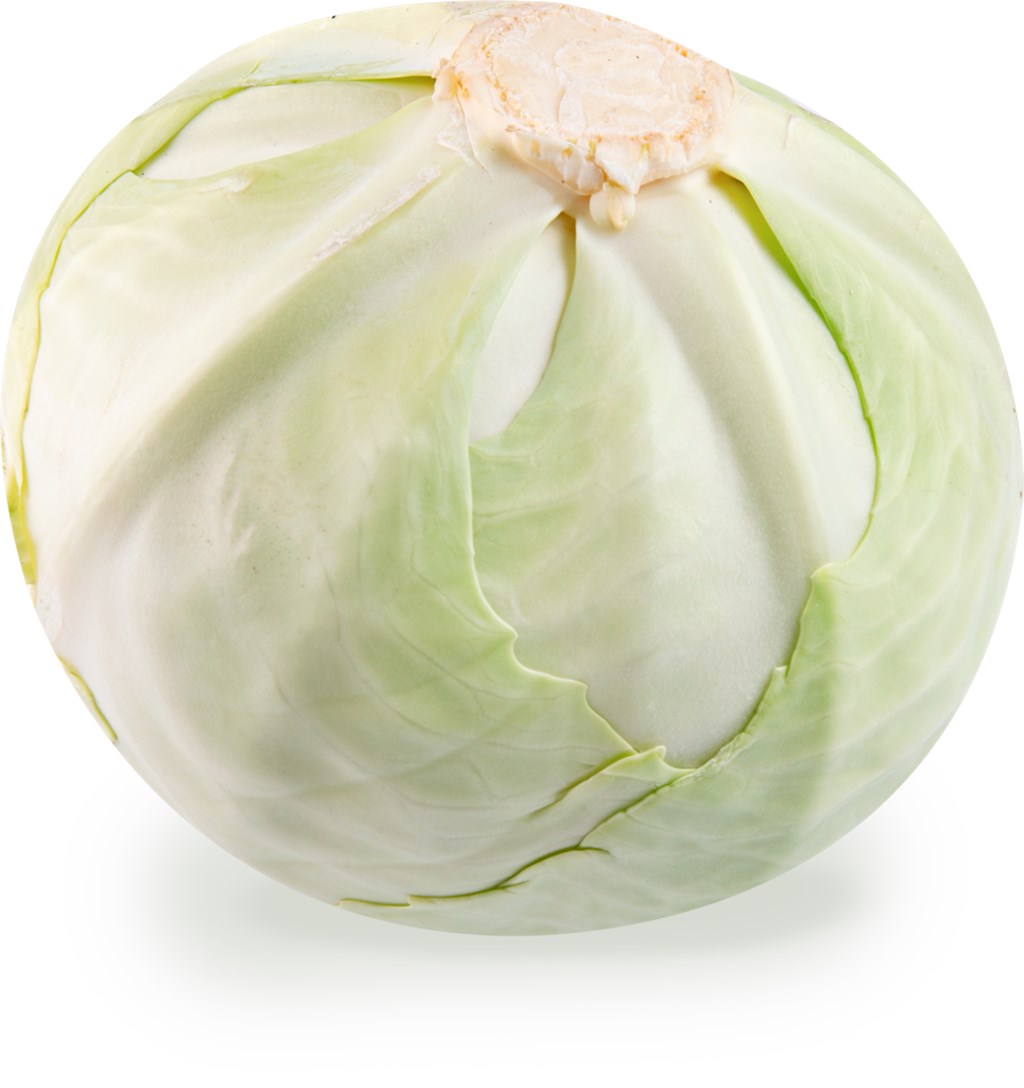 КАПУСТА БЕЛОКОЧАННАЯ /ВЕС