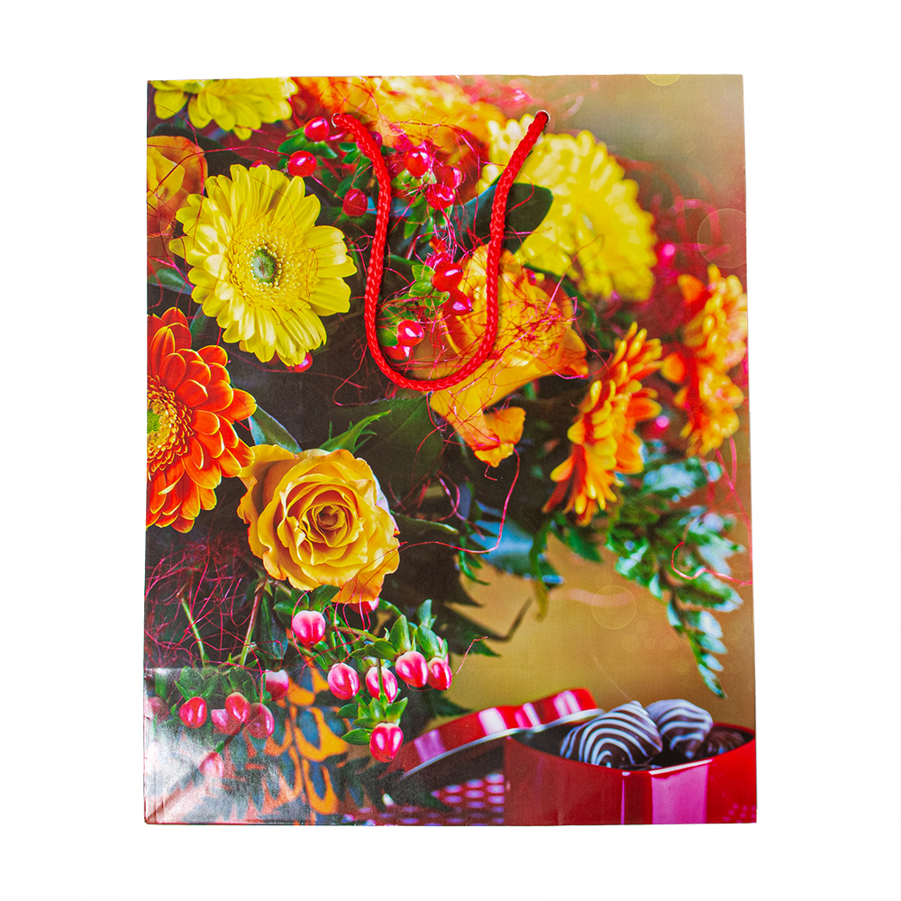 Пакет бумажный подарочный   26,4*13,6*32,7 МИКС L