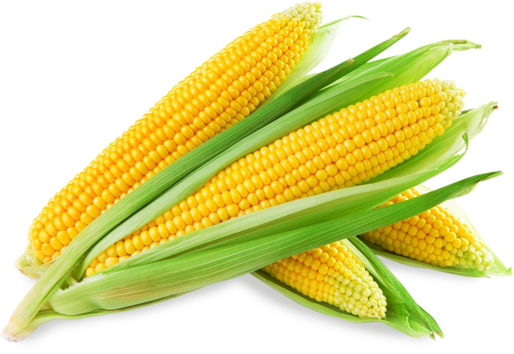 КУКУРУЗА В ПОЧАТКАХ ШТ