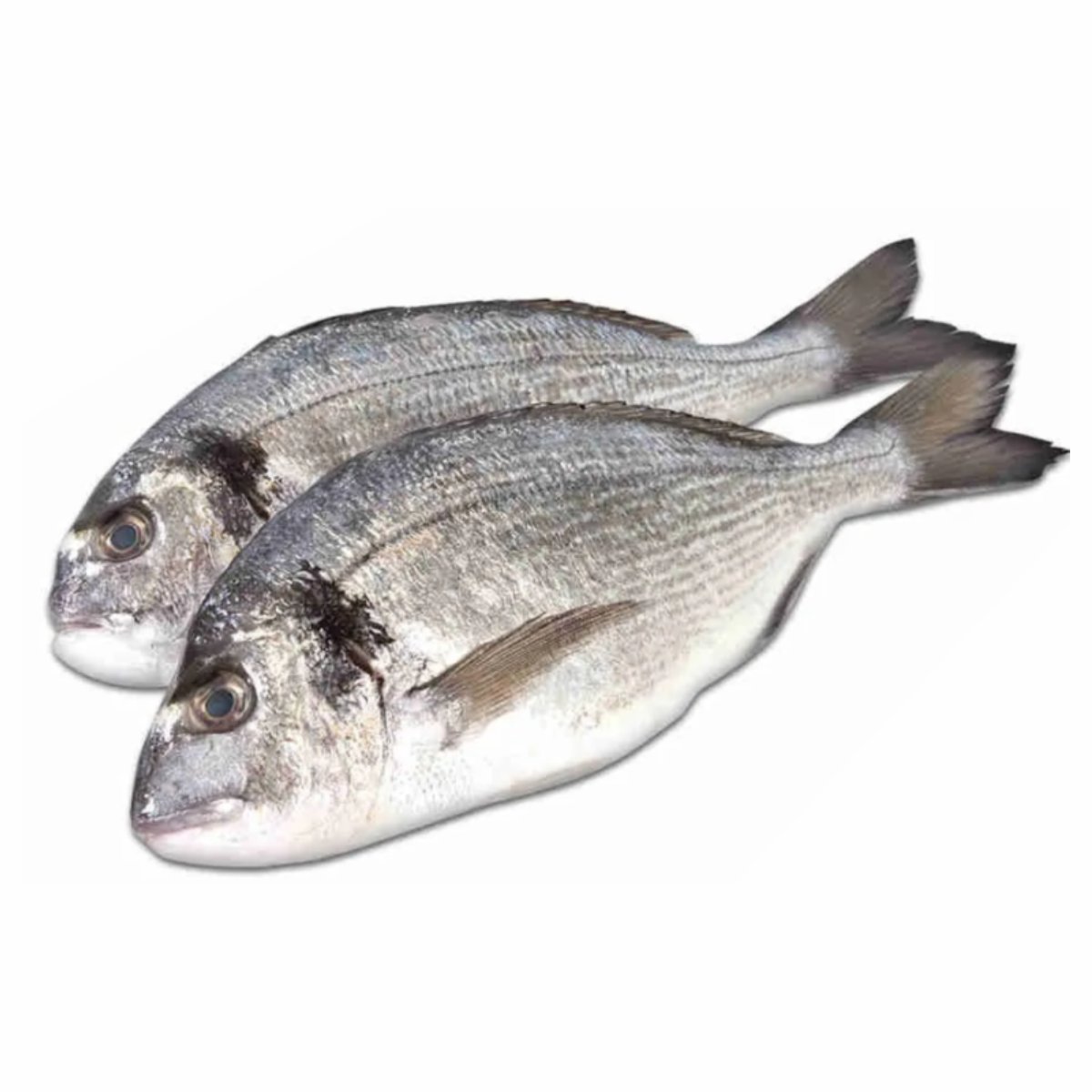 ДОРАДО Н/О С/М 300-400 IQF ЗАМ