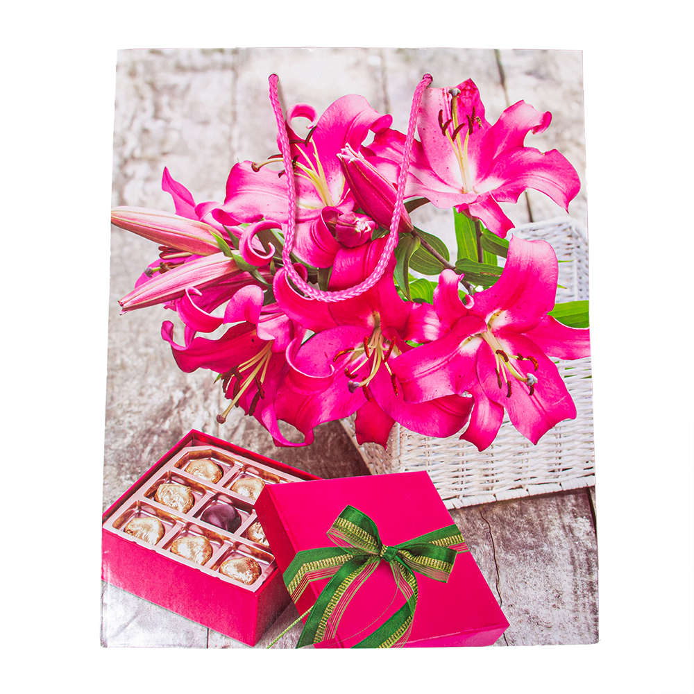 Пакет бумажный подарочный   26,4*13,6*32,7 МИКС L