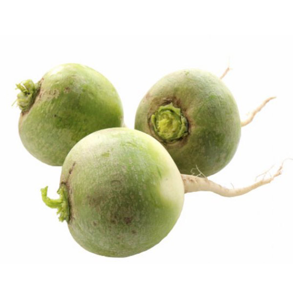 Редька зеленая