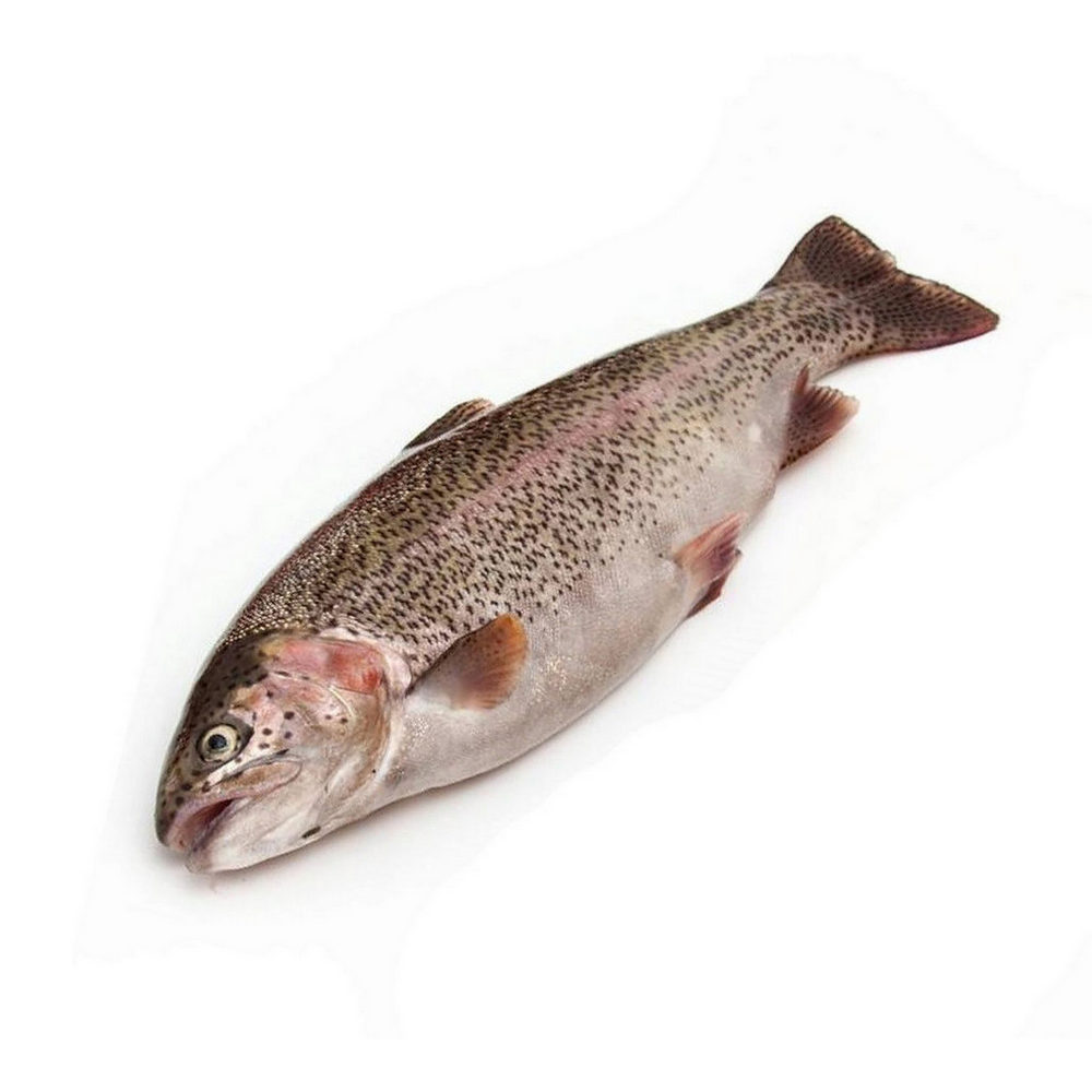 ФОРЕЛЬ ОХЛАЖДЕНАЯ ВЕС  1КГ