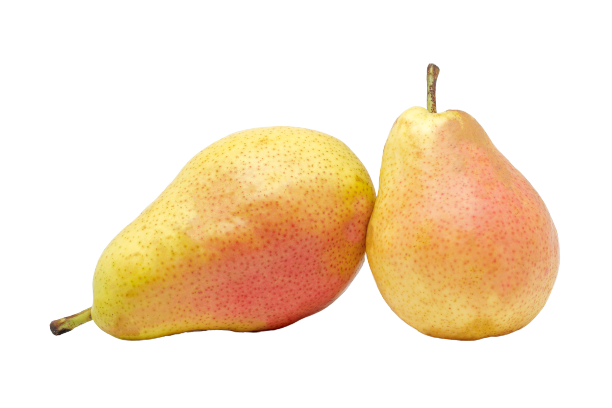 ГРУШИ ФОРЕЛЛ /ВЕС