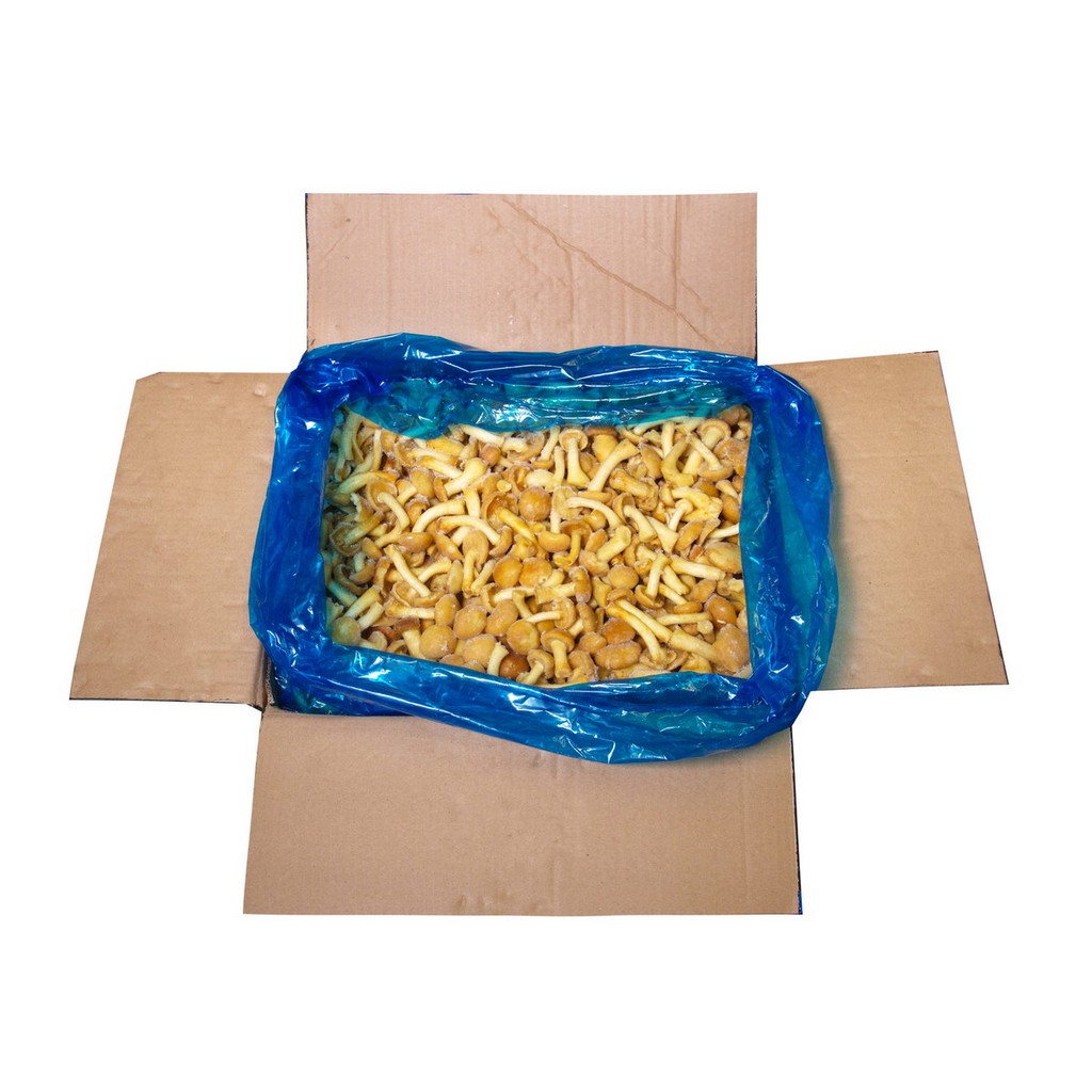 ОПЯТА ЗАМ /ВЕС