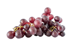 ВИНОГРАД ЧЕРНЫЙ /ВЕС