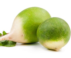 Редька зеленая