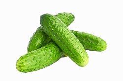 ОГУРЕЦ КОРОТКОПЛОДНЫЙ