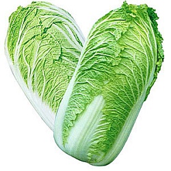 КАПУСТА ПЕКИНСКАЯ РОССИЯ