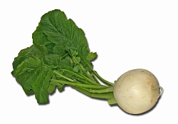 Репа