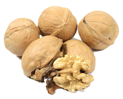 ГРЕЦКИЙ ОРЕХ В СКОРЛУПЕ /ВЕС