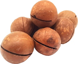 ОРЕХ МАКАДАМИЯ 1КГ