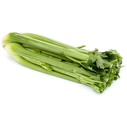 Стебель сельдерея весовой