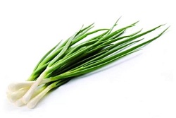 ЛУК ЗЕЛЕНЫЙ /ВЕС