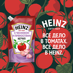 КЕТЧУП ХАЙНЦ С ЧЕСНОКОМ И ПРЯНОСТЯМИ 320ГР Д/П