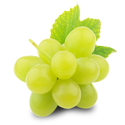 ВИНОГРАД КИШ МИШ БЕЛЫЙ