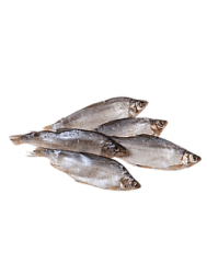 РЫБА ВОБЛА ВЯЛ ЭЙС /ВЕС