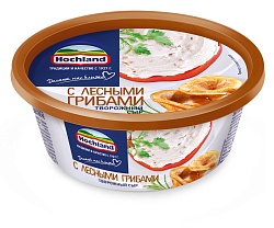 БЗМЖ СЫР ХОХЛАНД ТВОРОЖНЫЙ 140ГР ВАН ЛЕСНЫЕ ГРИБЫ