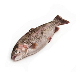 ФОРЕЛЬ ОХЛАЖДЕНАЯ ВЕС  1КГ