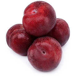 СЛИВА СЕЗОННАЯ