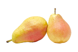 ГРУШИ ФОРЕЛЛ /ВЕС