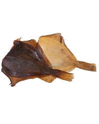 РЫБА КАМБАЛА  Х/К